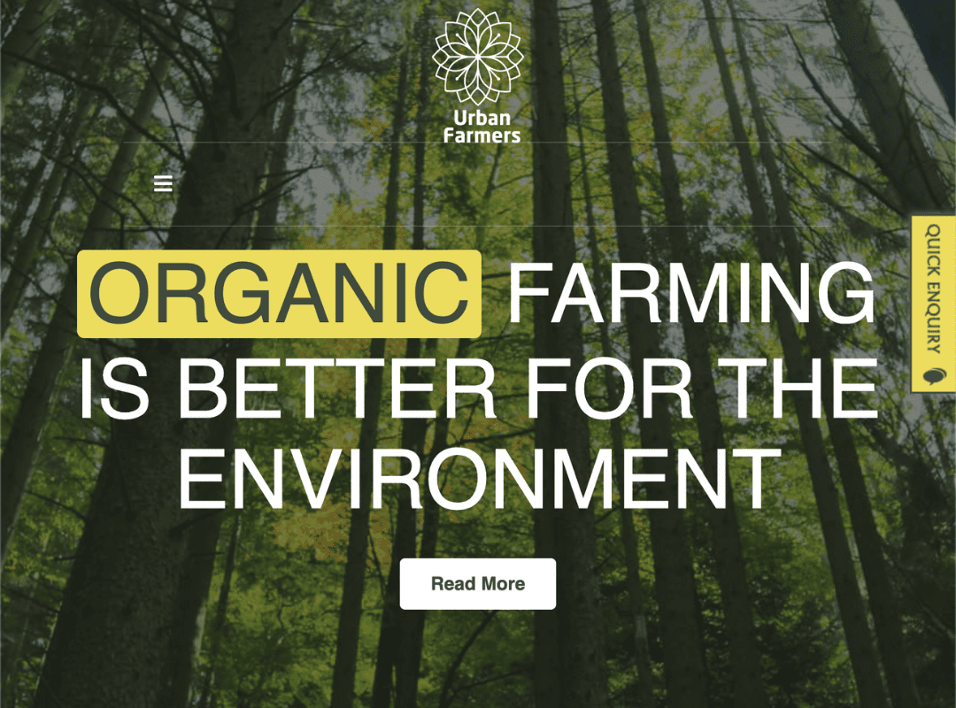 Market Economy Graphics